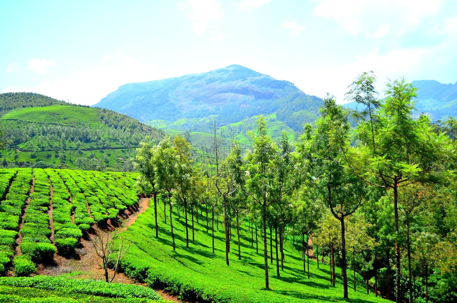 7 places in india to visit this march month