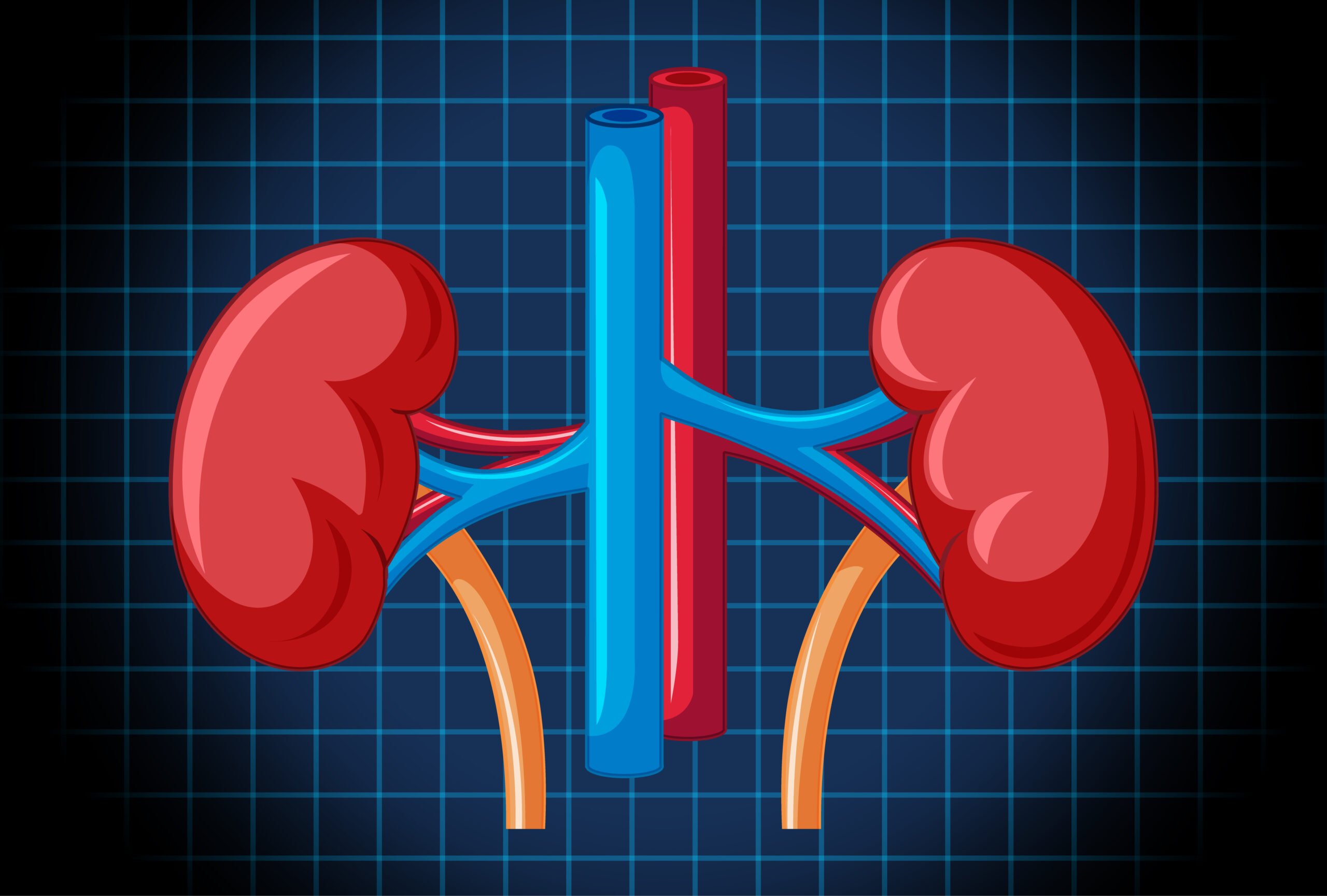 Foods that prevent kidney damage