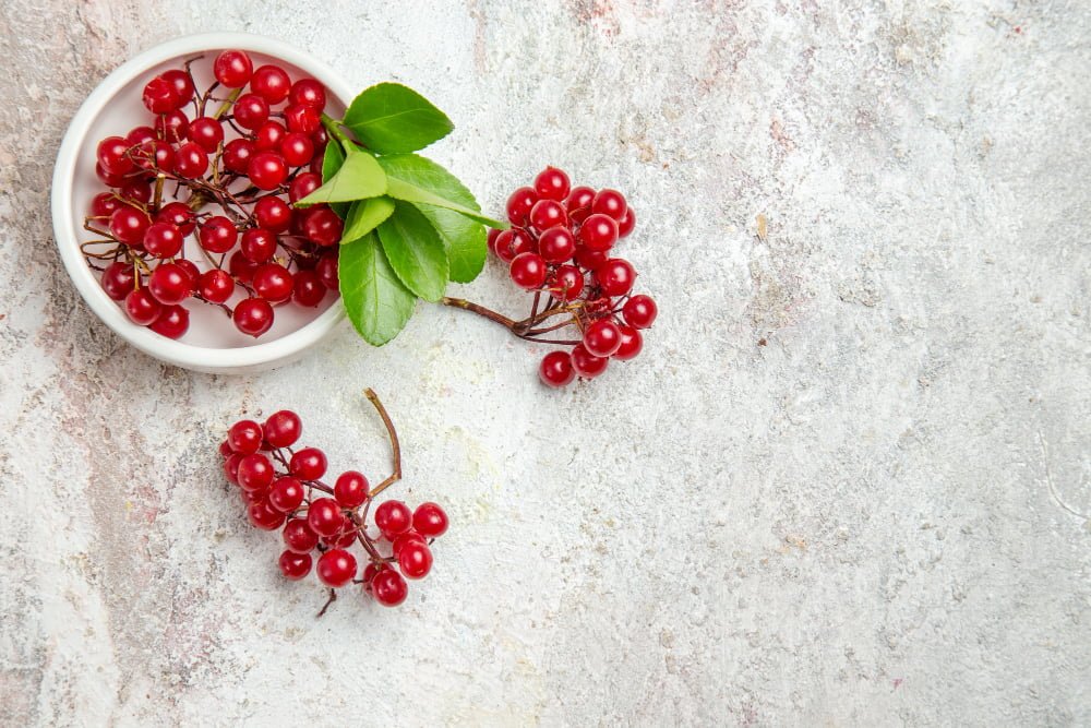 Remedies to keep your kidney healthy