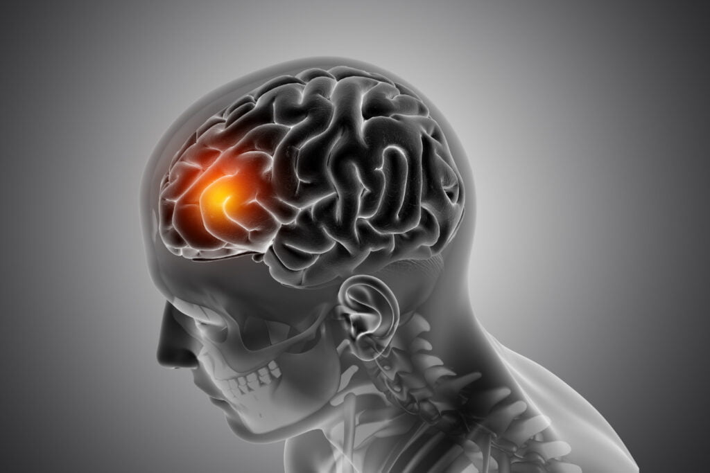 Nervous system