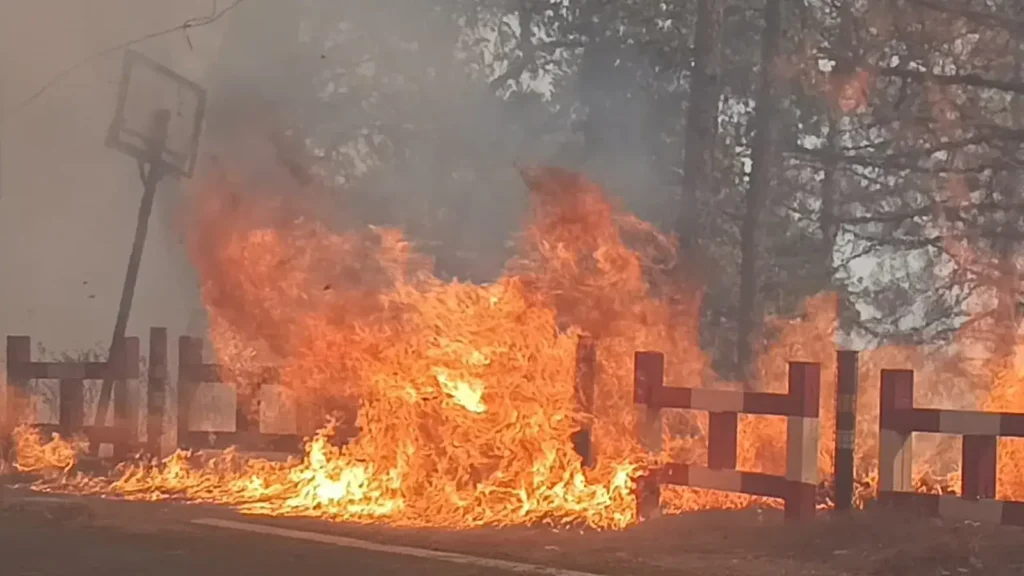 Nainital fire latest news