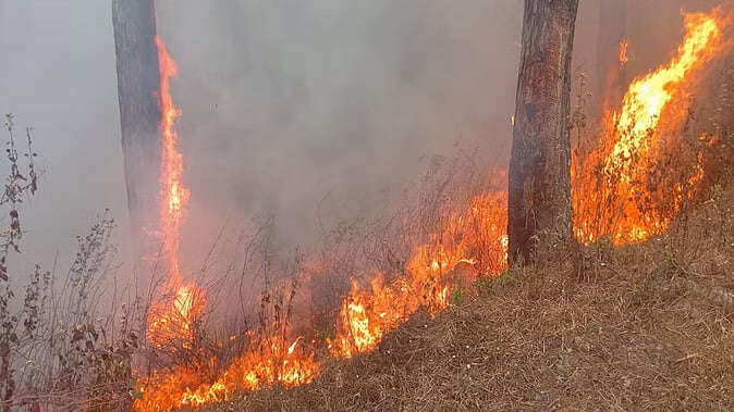 Nainital fire latest news