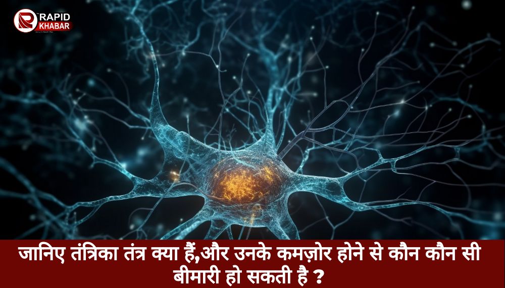 Nervous System
