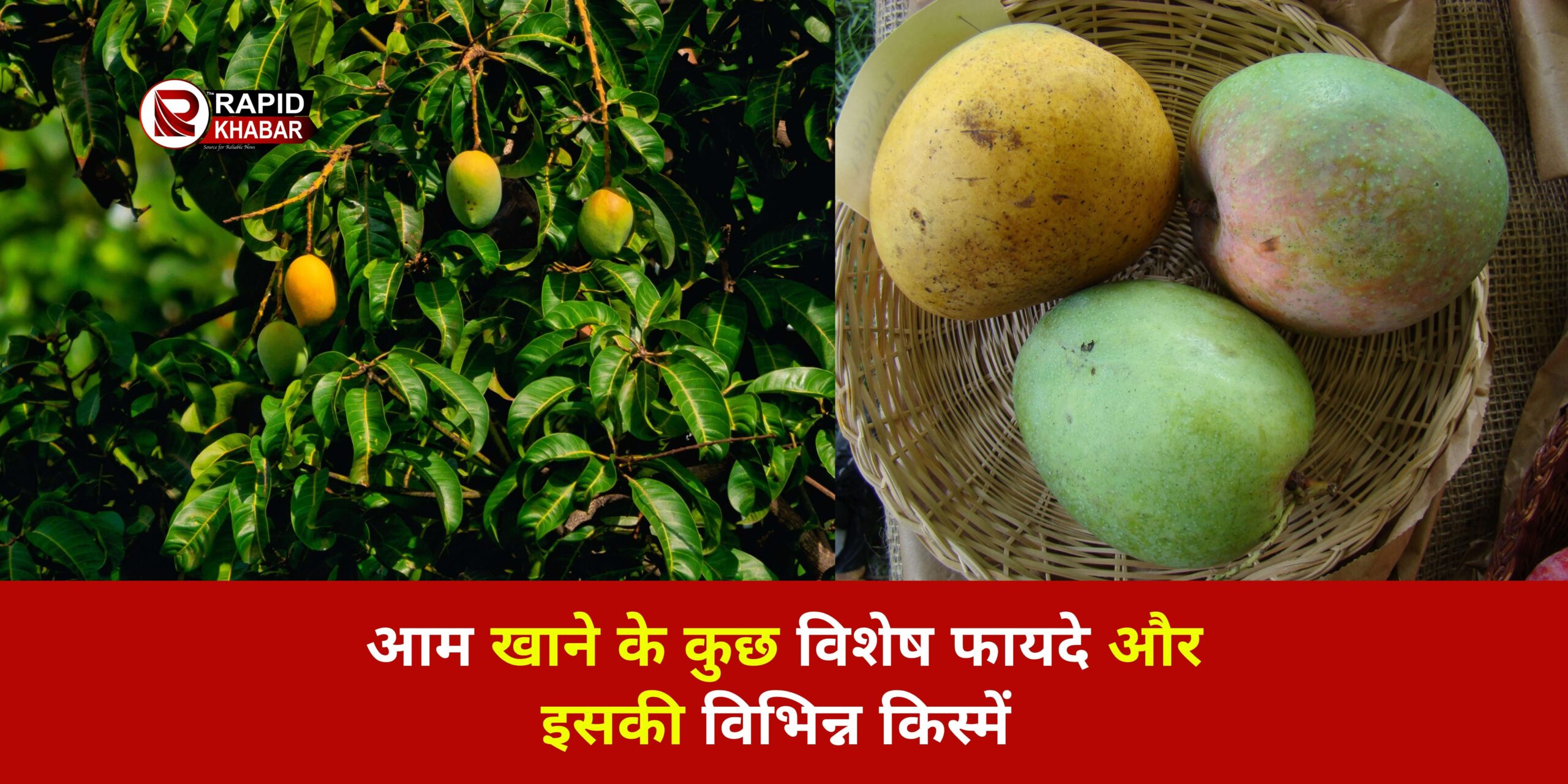 Benefits of Mangoes and Its Varieties in India