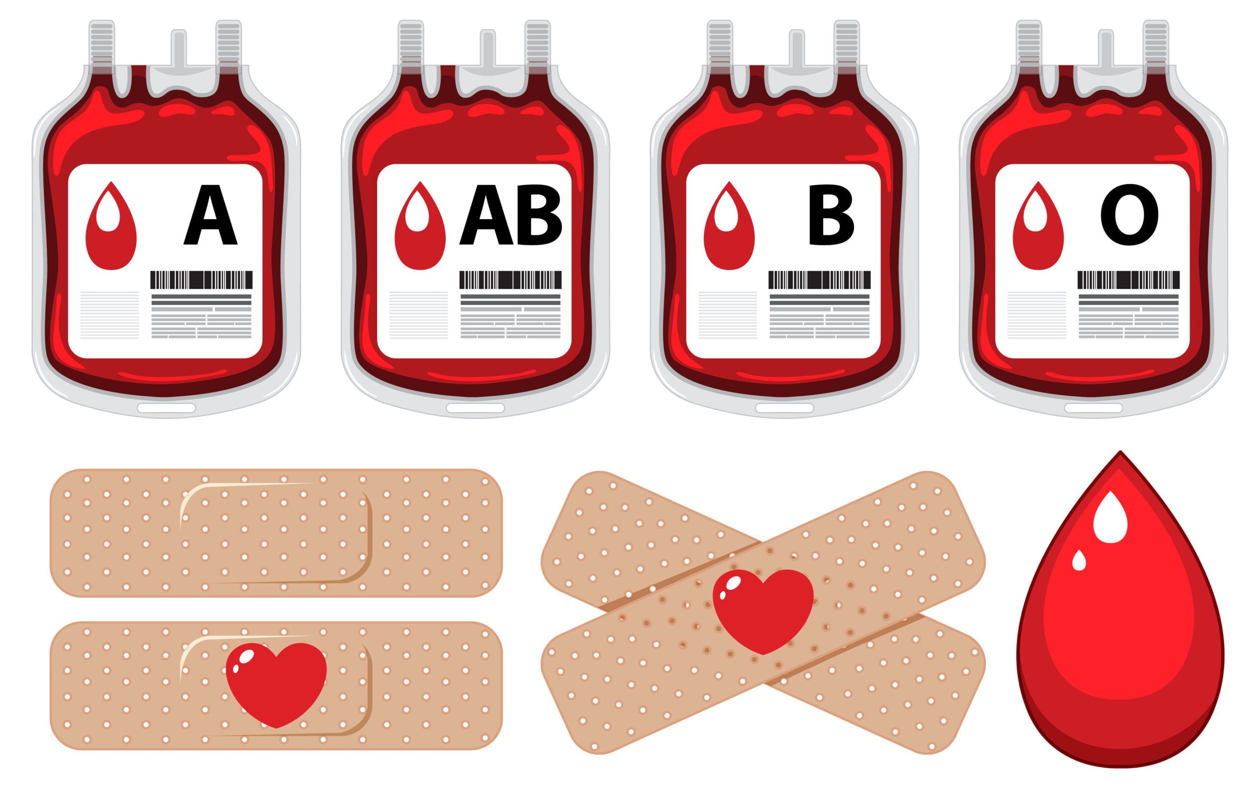 Blood Type Personality Test