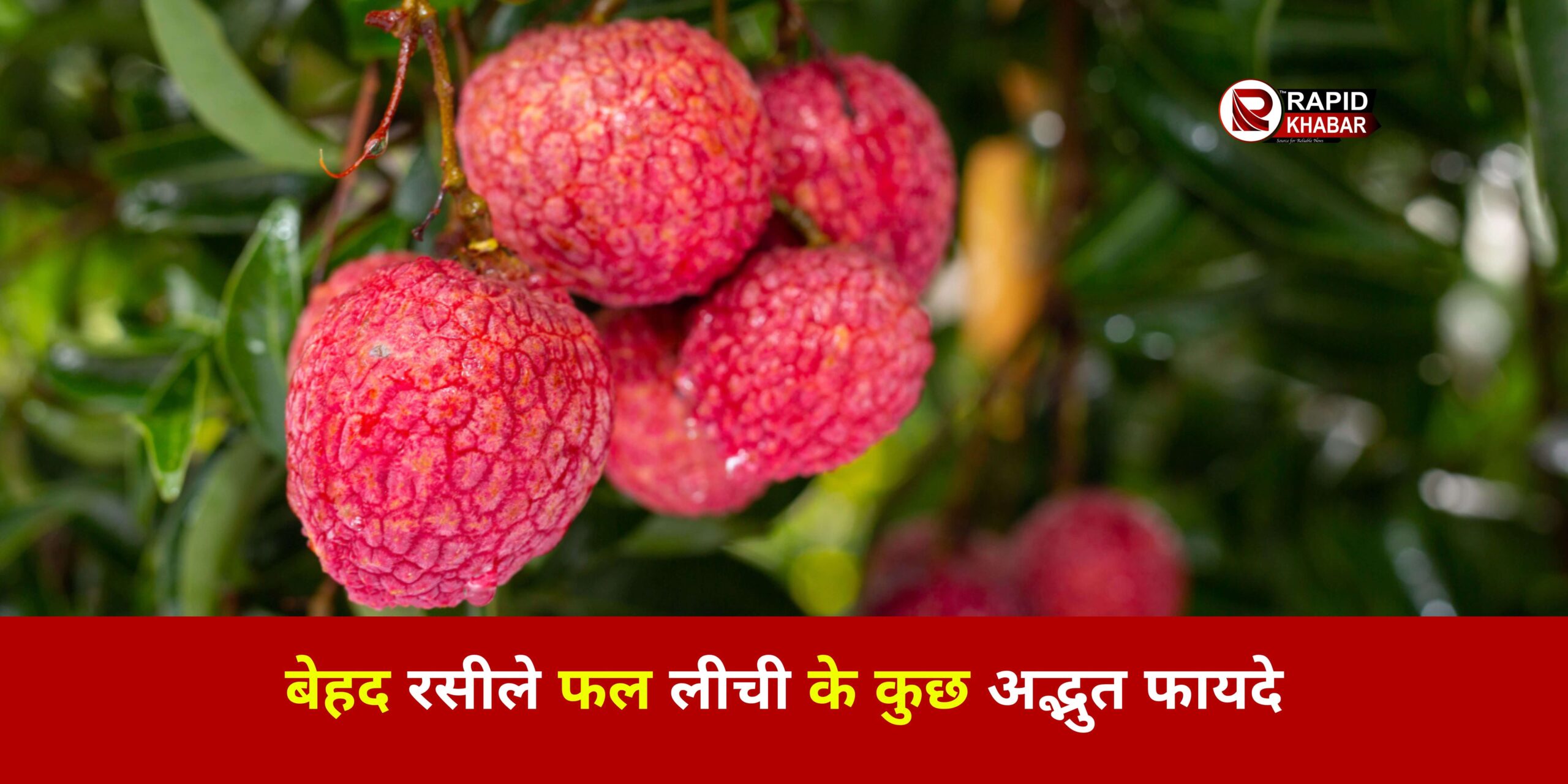 Lychee Benefits and Side Effects in Hindi