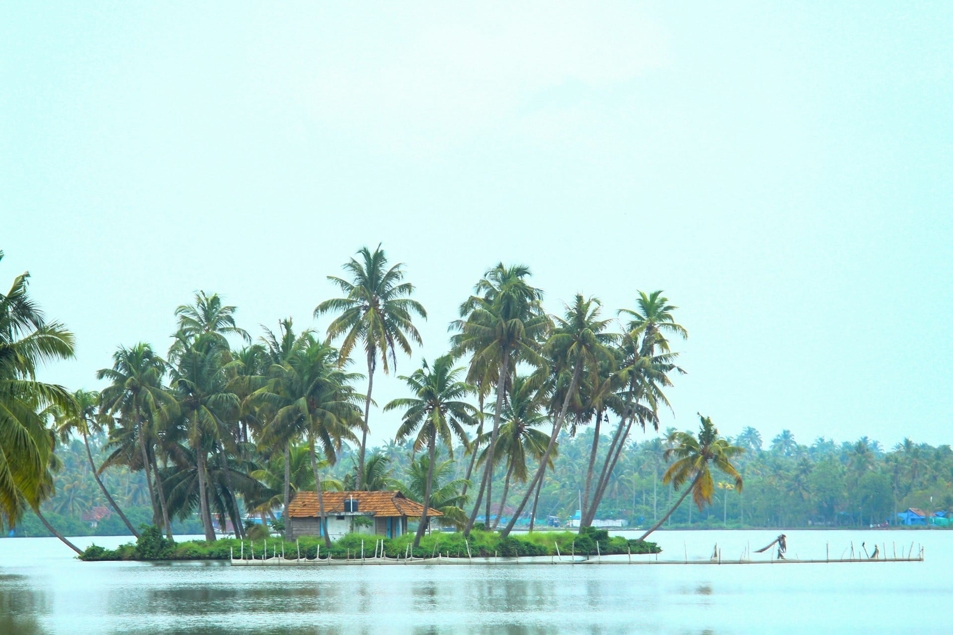 Interesting Facts About Kerala