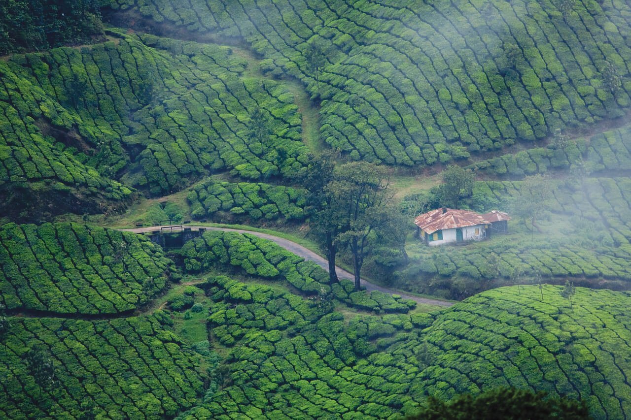 Best places to visit in india during monsoon season