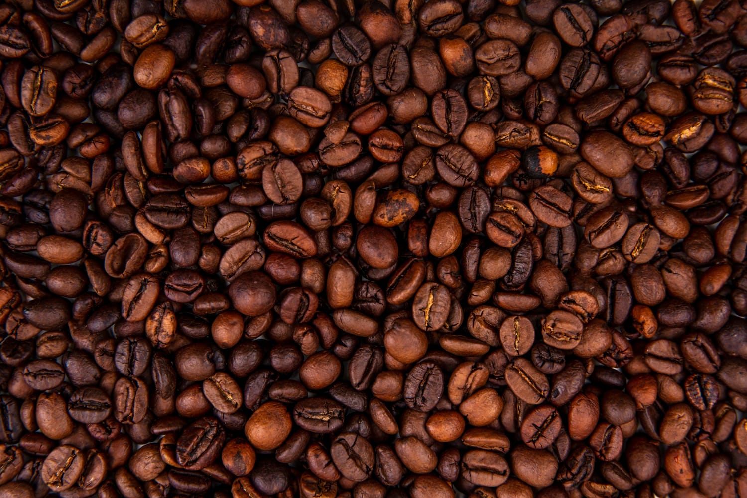 Top 10 Amazing Facts About Coffee