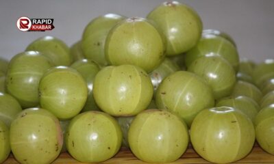 7 Amazing Health Benefits Of Amla