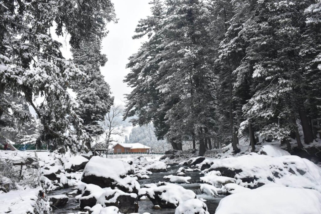 Kashmir Receives First Snowfall of The Season