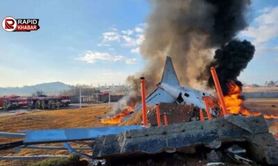 South Korea Plane Crash News