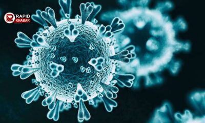 China New Virus HMPV Outbreak