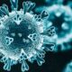 China New Virus HMPV Outbreak