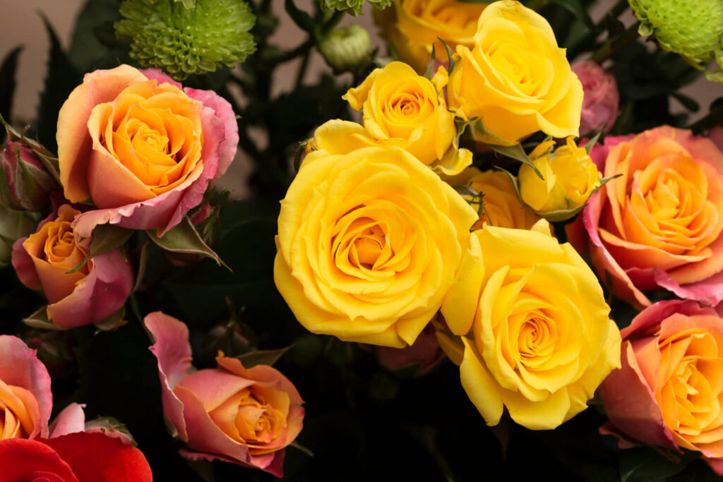 Significance of valentine week