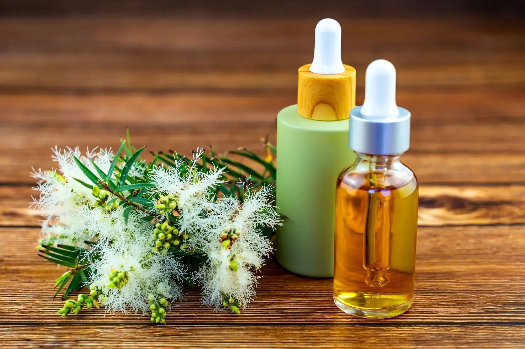 Best herbs for skin care treatments