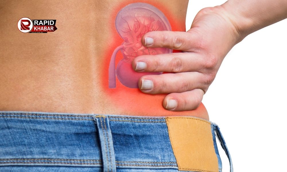 Foods That Prevent Kidney Damage