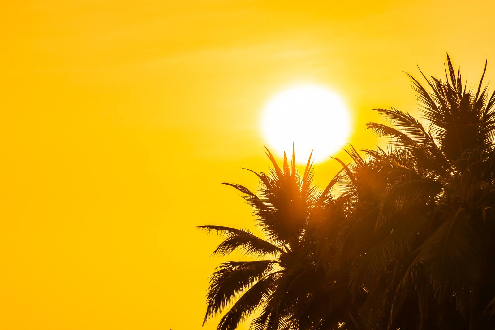 North india excessive heatwave alert