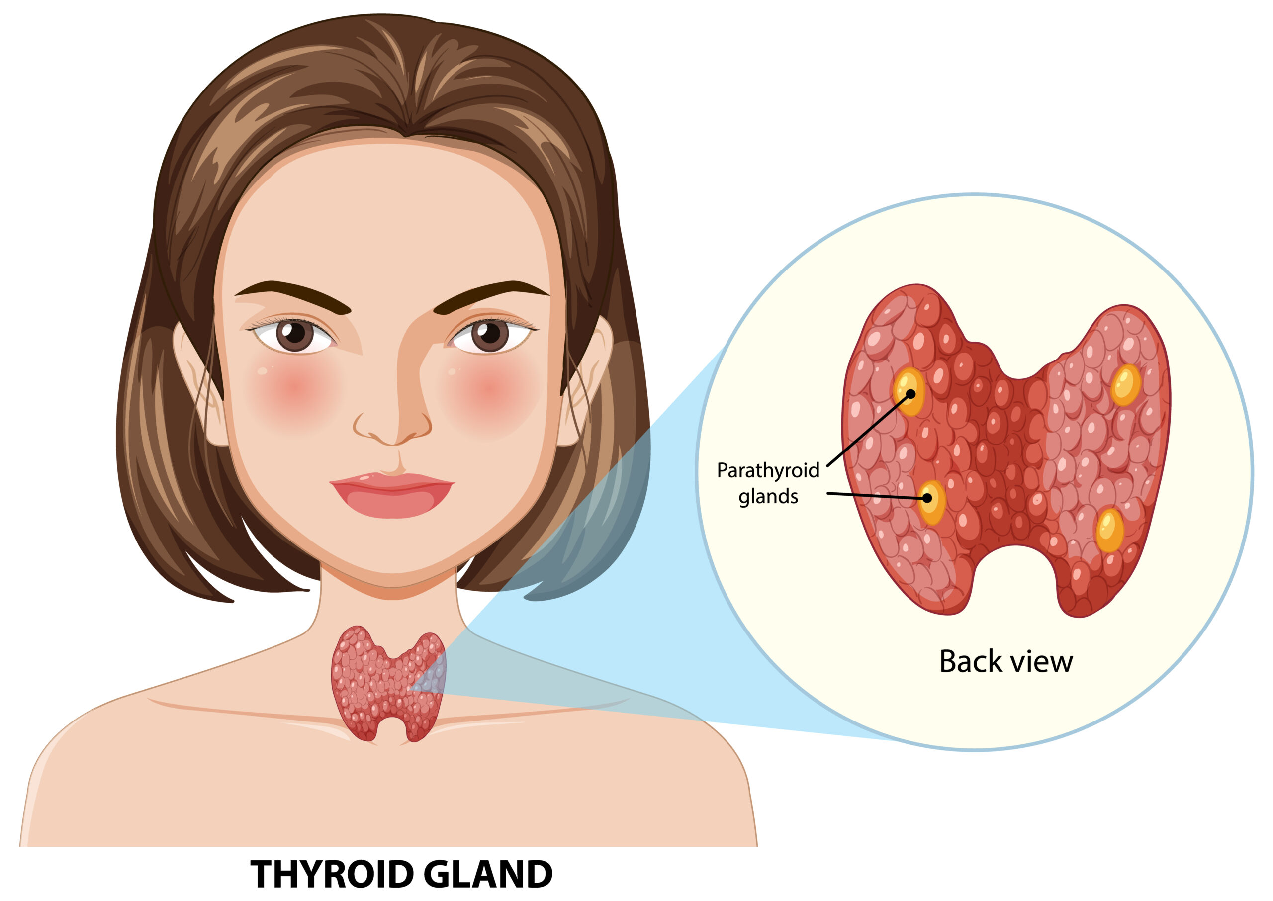 Women thyroid cancer signs