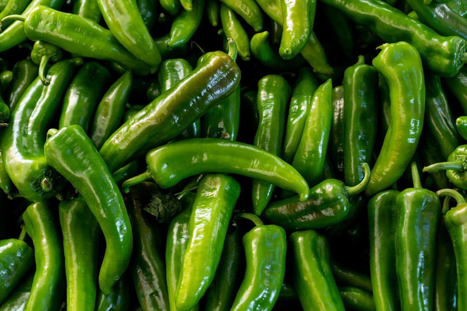7 vegetables to avoid in monsoon